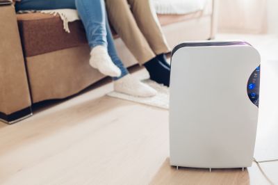 Humidifier Filter Replacement in Sarasota, FL