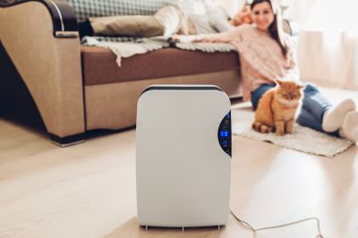 Humidifier Filter Replacement in Kansas City, MO